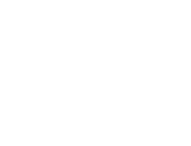 BiiSmart Logo