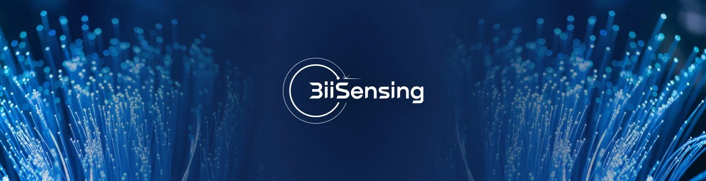 Historia de BiiSmart Group: la adquisición de BiiSensing amplió el alcance del grupo